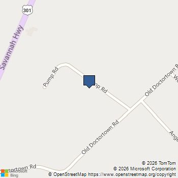 71 Barn Rd Circle Jesup, GA MLS# 10694818