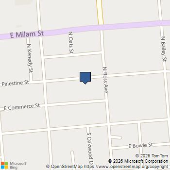 820 E Palestine Mexia, TX MLS# 21144185