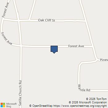 388 Forest Avenue Baxley, GA MLS# 10680841