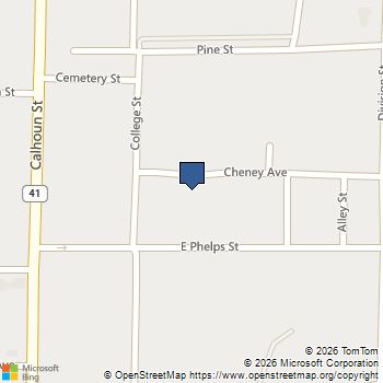 48 Cheney Avenue Shellman, GA MLS# 10815040