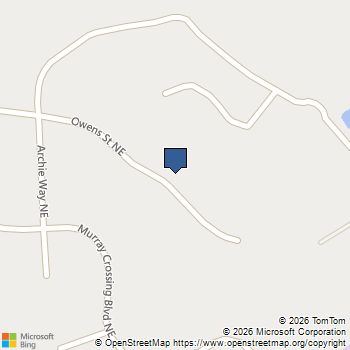 241 Owens Street Ne Ludowici, GA MLS# 10832475