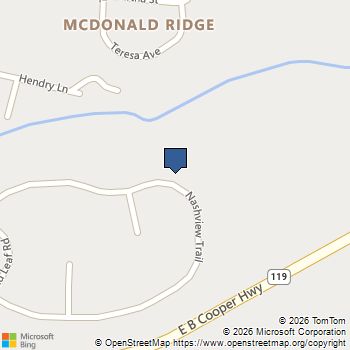 258 Nashview Trail Allenhurst, GA MLS# 171987
