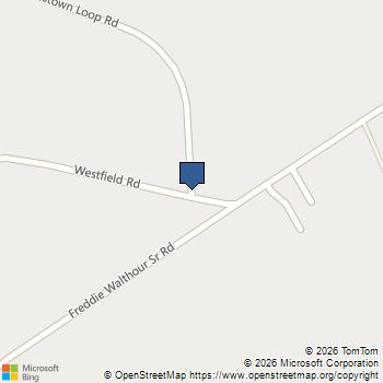 13.14 ACRES Holmestown Loop Road Midway, GA MLS# 10825591