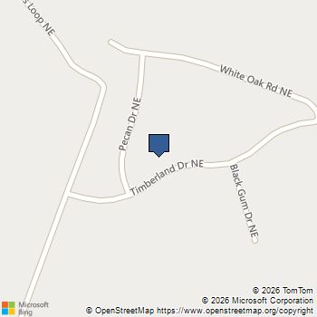 129 Timberland Drive NE Ludowici, GA MLS# SA354140