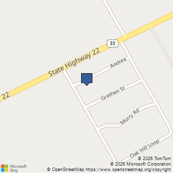 108 Andrea Whitney, TX MLS# 21263219