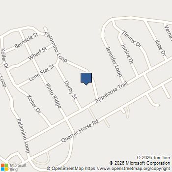 262 Palomino Loop Whitney, TX MLS# 21165411