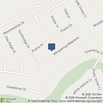 22262 Whispering Meadow Drive Whitney, TX MLS# 21148100