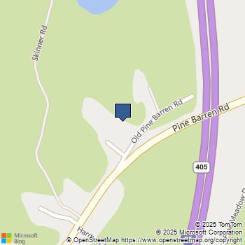 320 Old Pine Barren Road Pooler, GA MLS# 10162600