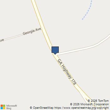 0 Joe Page Road Lyons, GA MLS# 10672939