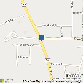 000 Dewey Street Malakoff, TX MLS# 21324281