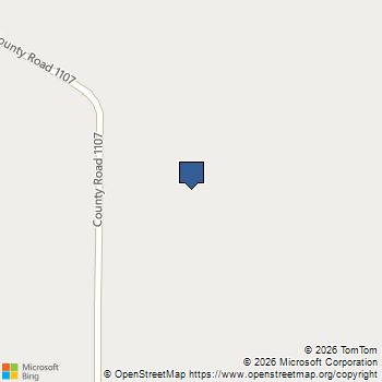 20398 Old Palestine Highway Flint, TX MLS# 21237224