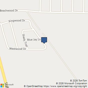 0 Raven Wood Drive Trinidad, TX MLS# 21381429