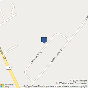 219 Caroline Way Guyton, GA MLS# SA354323