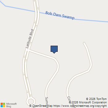 211 Summertime Court Hardeeville, SC MLS# SA356753