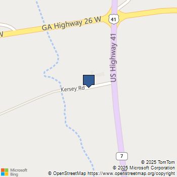 216, 14TH LD Kersey Road Elko, GA MLS# 10650629