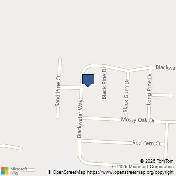 136 Blackwater Way Springfield, GA MLS# 10763704