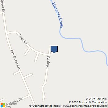 203 Stag Road Springfield, GA MLS# SA354314