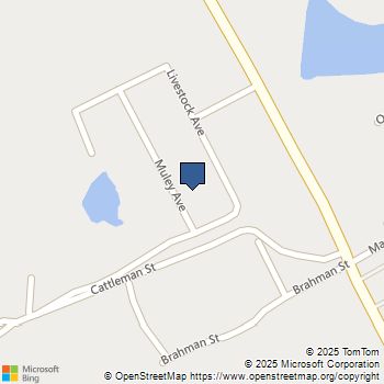 10341 Muley Avenue Venus, TX MLS# 21045412