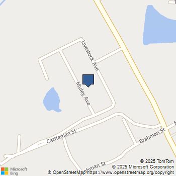 10333 Muley Avenue Venus, TX MLS# 21045385