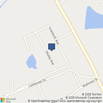 10329 Muley Avenue Venus, TX MLS# 21045368