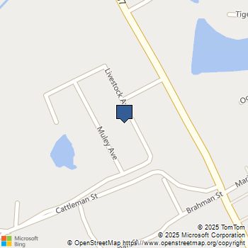 10408 Livestock Avenue Venus, TX MLS# 21044713