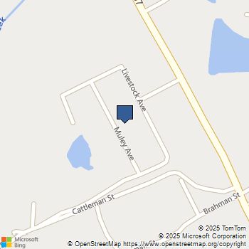 10325 Muley Avenue Venus, TX MLS# 21044825