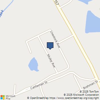 10321 Muley Avenue Venus, TX MLS# 21044800