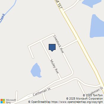 10317 Muley Avenue Venus, TX MLS# 21044755