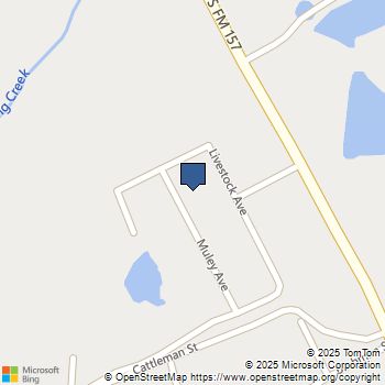 10309 Muley Avenue Venus, TX MLS# 21044735