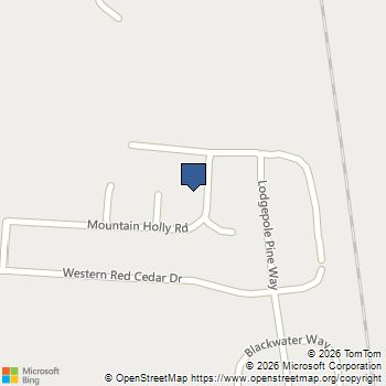 123 Mountain Holly Road Springfield, GA MLS# 10828366