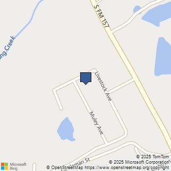 10305 Muley Avenue Venus, TX MLS# 21044414