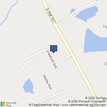 10309 Livestock Avenue Venus, TX MLS# 21044255