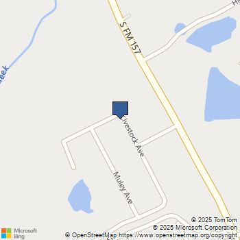 10305 Livestock Avenue Venus, TX MLS# 21044431