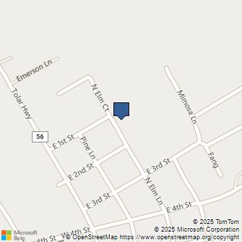 319 Peace Lily Way Tolar, TX MLS# 21133954