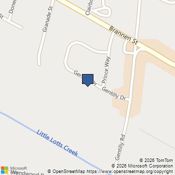 133 Gentilly Drive Statesboro, GA MLS# 10676775