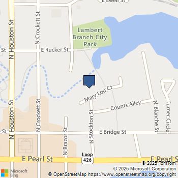 401 Mary Lou Court Granbury, TX MLS# 21130062