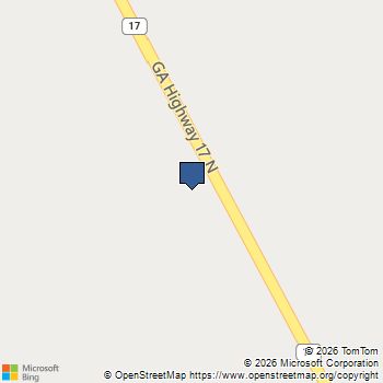 0 Hwy 17 Newington, GA MLS# 10800559