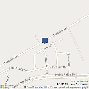 6333 Catalpa Drive Venus, TX MLS# 21138163