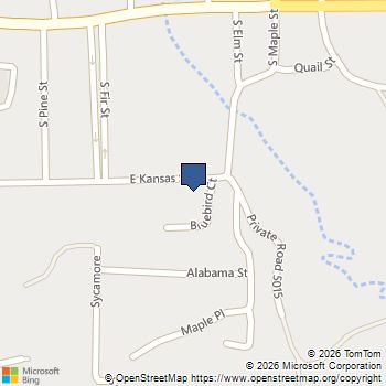 356 E Kansas Street Van, TX MLS# 21296674
