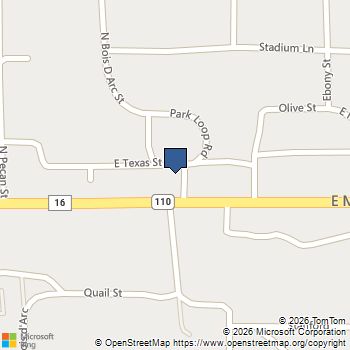 9999 Stadium Street Van, TX MLS# 21282485