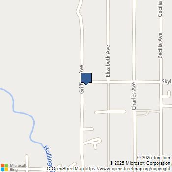 Lot 36 Griffing Avenue Midlothian, TX MLS# 21067950