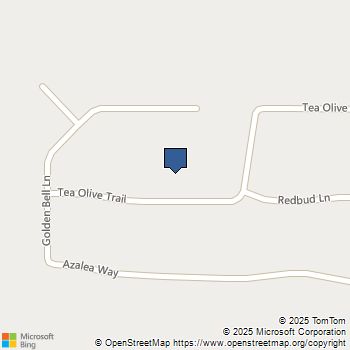 4211 Tea Olive Trail Midlothian, TX MLS# 20845108