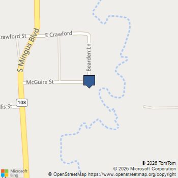 304 Mcguire Street Mingus, TX MLS# 21221701