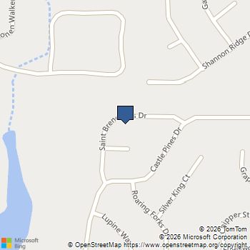 111 Saint Brendands DR Bonaire, GA MLS# 10834756