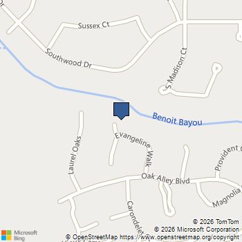 217 Evangeline Walk Bossier City, LA MLS# 21193544