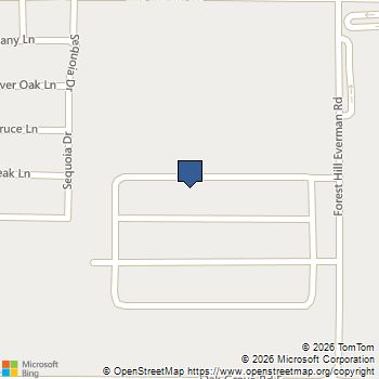 1632 Black Kite Lane Fort Worth, TX MLS# 21326259