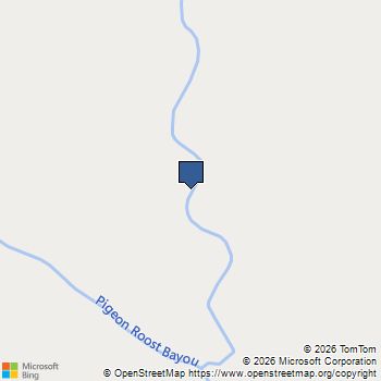 135 Faith Plantation Drive # 57 Princeton, LA MLS# 21190721