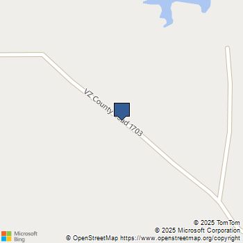 TBD Vz Cr 1703 Grand Saline, TX MLS# 21031244