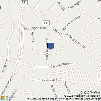 4400 Horsemint Cove Heartland, TX MLS# 21035799