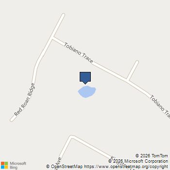 141 Tobiano Trace Weatherford, TX MLS# 21380988
